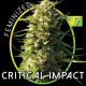 CRITICAL IMPACT* VISION SEEDS 5 SEMI FEM