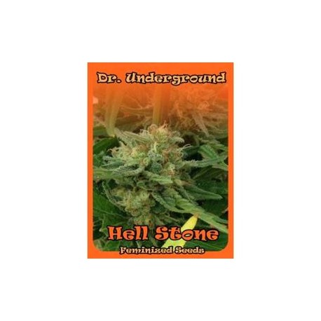 HELL STONE * DR UNDERGROUND 4 SEMI FEM