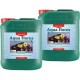 CANNA AQUA FLORES A+B 2 X 5L