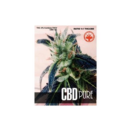 CBD PURE* PURE SEEDS 1 SEME FEM