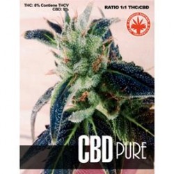 CBD PURE* PURE SEEDS 5 SEMI FEM