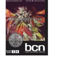 STRAWBERRY KISS * BCN SEEDS 6 SEMI FEM 