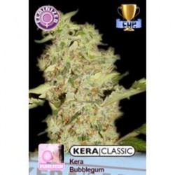 BUBBLEGUM * KERA SEEDS CLASSIC 3 SEMI FEM