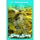 KING KONG * DR UNDERGROUND 2 SEMI FEM