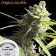 CBD LEMON AID * ORIGINAL SENSIBLE SEED 3 SEMI FEM