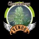 CHEESE KABERRY * VENUS GENETICS 3 SEMI FEM