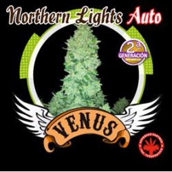 NOTHERLIGHT AUTO* VENUS GENETICS 1 SEME FEM