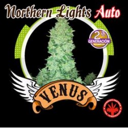 NOTHERLIGHT AUTO* VENUS GENETICS 1 SEME FEM