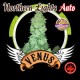 NOTHERLIGHT AUTO* VENUS GENETICS 5 SEMI FEM