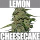 LEMON CAKE* HEAVYWEIGHT SEEDS 3 SEMI FEM