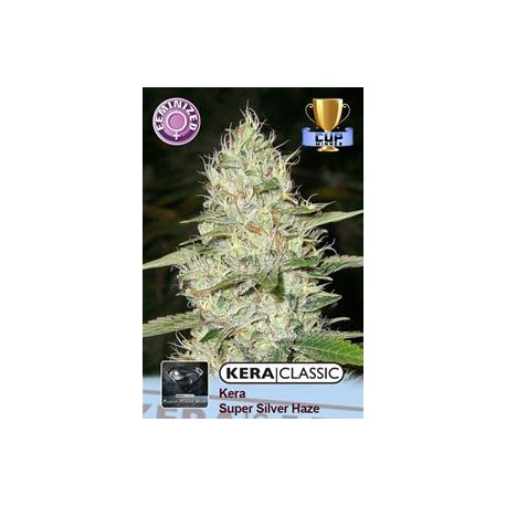 KERA SUPER SILVER HAZE * KERA SEEDS CLASSIC 3 SEMI FEM