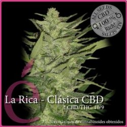 LA RICA CBD * ELITE SEEDS 7 SEMI FEM 