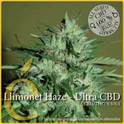 LLIMONET HAZE ULTRA CBD * ELITE SEEDS 3 SEMI FEM 