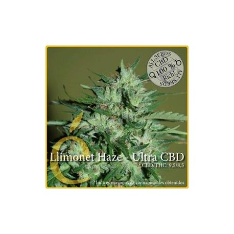 LLIMONET HAZE ULTRA CBD * ELITE SEEDS 3 SEMI FEM 