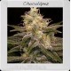 CHOCOLOPEZ * BLIM BURN 3 SEMI FEM