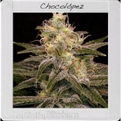 CHOCOLOPEZ * BLIM BURN 3 SEMI FEM