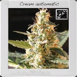 CREAM AUTOMATIC* BLIM BURN 3 SEMI FEM