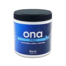 ASSORBI ODORI ONA BLOCK PRO 170GR
