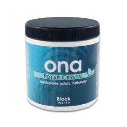 ASSORBI ODORI ONA BLOCK POLAR CRYSTAL 170GR