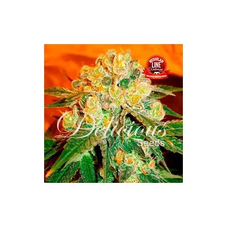 MARMALATE * DELICIOUS SEEDS INDICA 7 SEMI REG