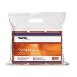 COCO BRIX PLAGRON 6 PZ