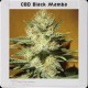 MAMBA NEGRA CBD* BLIM BURN 3 SEMI FEM