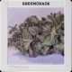 GREEN CRACK* BLIM BURN 9 SEMI FEM