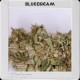 BLUE DREAM * BLIM BURN 9 SEMI FEM