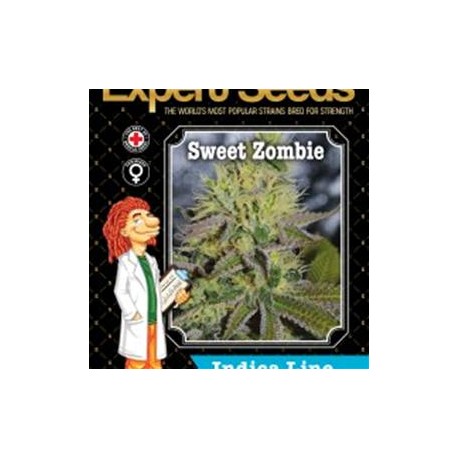 SWEET ZOMBIE * EXPERT SEEDS 10 SEMI FEM 