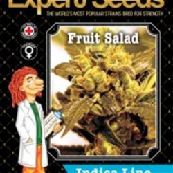 FRUIT SALAD * EXPERT SEEDS 3 SEMI FEM 