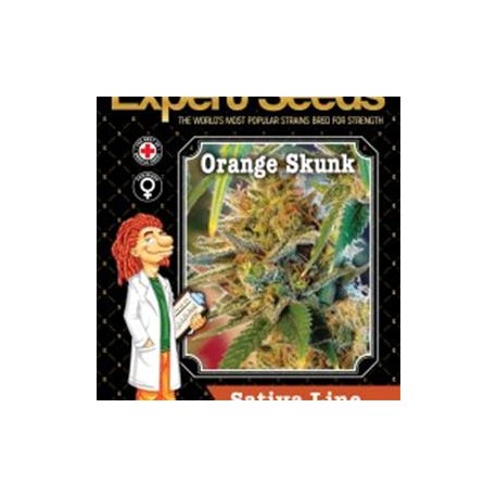 ORANGE SKUNK * EXPERT SEEDS 3 SEMI FEM 