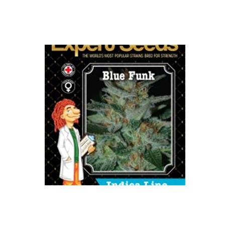 BLUE FUNK * EXPERT SEEDS 3 SEMI FEM 