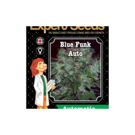 BLUE FUNK AUTO * EXPERT SEEDS 3 SEMI FEM 