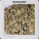 GRANDADDY PURPLE * BLIM BURN 3 SEMI FEM