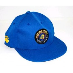 CAPPELLO CON VISIERA FLAT AZZURRO THE BULLDOG 