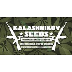 FEM MIX PACK *KALASHNIKOV SEEDS 16 SEMI FEM 