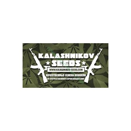 FEM MIX PACK *KALASHNIKOV SEEDS 16 SEMI FEM 