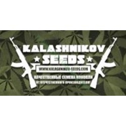 AUTO MIX PACK *KALASHNIKOV SEEDS 14 SEMI FEM 