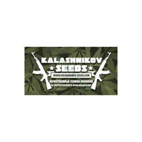 AUTO MIX PACK *KALASHNIKOV SEEDS 14 SEMI FEM 