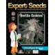 GORILLA COOKIES * EXPERT SEEDS 1 SEME FEM 