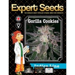 GORILLA COOKIES * EXPERT SEEDS 1 SEME FEM 