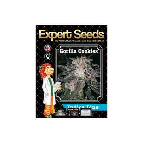 GORILLA COOKIES * EXPERT SEEDS 1 SEME FEM 