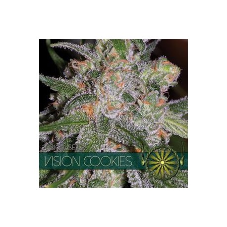 VISION COOKIES * VISION SEEDS 3 SEMI FEM