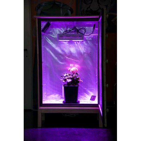 ARMADIO GROWBOX WEDOOS ARTIGIANALE - GRANDE