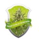 ROYAL CRITICAL AUTOMATIC * ROYAL QUEEN SEEDS 3 SEMI FEM 