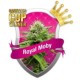 ROYAL MOBY * ROYAL QUEEN SEEDS 1 SEME FEM 