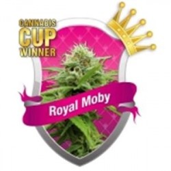 ROYAL MOBY * ROYAL QUEEN SEEDS 1 SEME FEM 