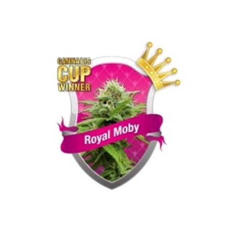 ROYAL MOBY * ROYAL QUEEN SEEDS 3 SEMI FEM 