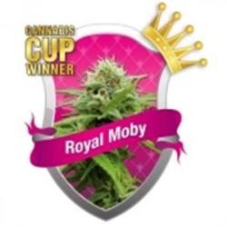 ROYAL MOBY * ROYAL QUEEN SEEDS 10 SEMI FEM 
