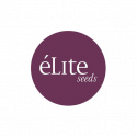 Elite seeds